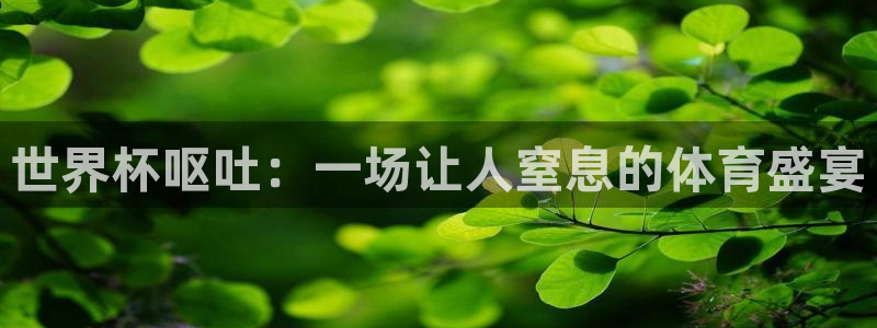 2026世界杯亚洲预选赛赛程：世界杯呕吐：一场让人窒息的体育盛宴