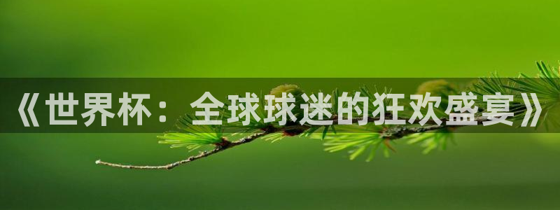足球世界杯预选赛：《世界杯：全球球迷的狂欢盛宴》