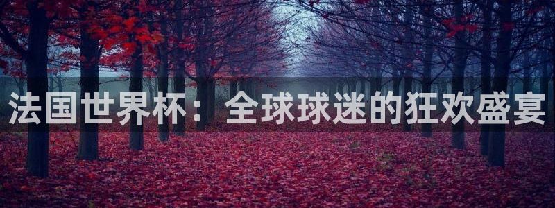 看世界杯：法国世界杯：全球球迷的狂欢盛宴