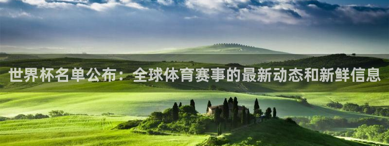 2026葡萄牙杯赛程表：世界杯名单公布：全球体育赛事的最新动态和新鲜信息