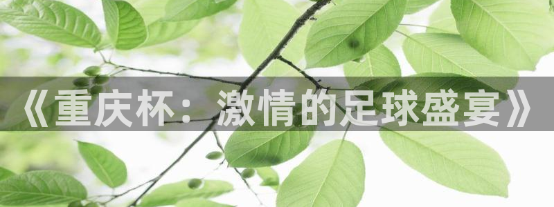 2026世预赛全部赛程：《重庆杯：激情的足球盛宴》