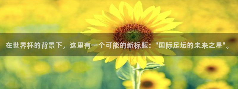 世界杯葡萄牙赛程：在世界杯的背景下，这里有一个可能的新标题：\