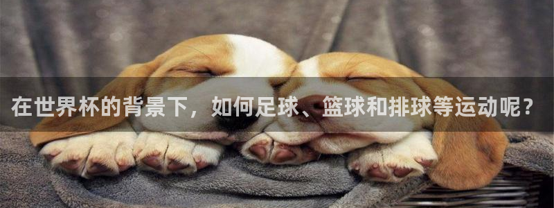 2026世界杯对阵图：在世界杯的背景下，如何足球、篮球和排球等运动呢？