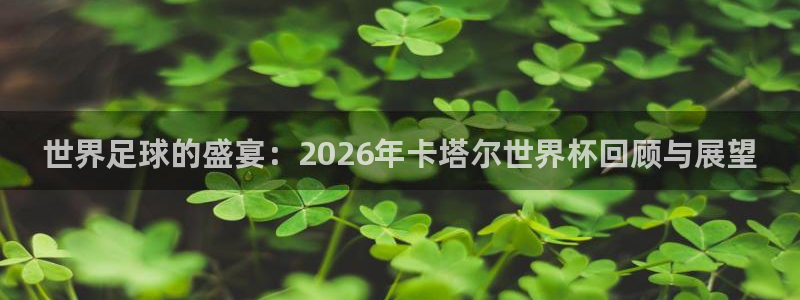 世界杯赛程时间表：世界足球的盛宴：2026年卡塔尔世界杯回顾与展望