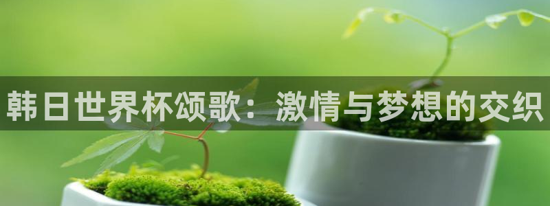 足球世界杯时间：韩日世界杯颂歌：激情与梦想的交织