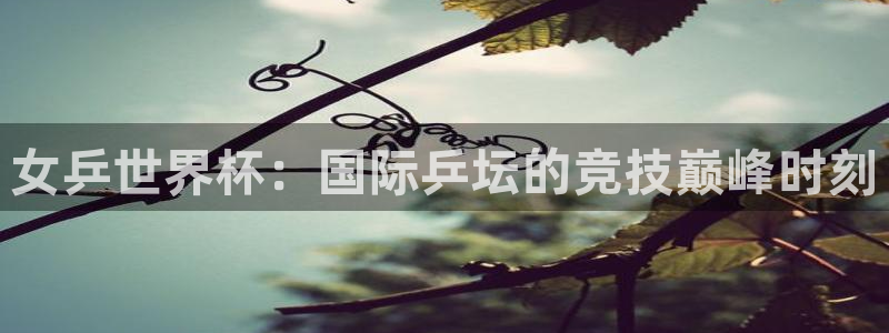 世界杯在线直播入口：女乒世界杯：国际乒坛的竞技巅峰时刻